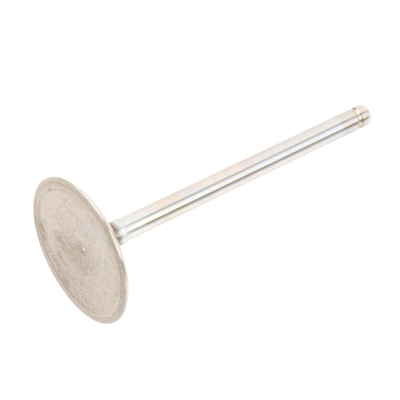 Genuine GM LS1 / LS2 / LS6 Intake valve